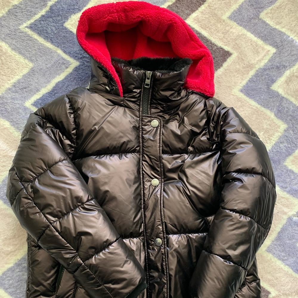 Eggplant by bubble coat